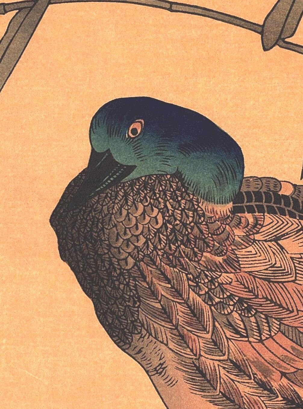 Japanese Ukiyo-e Woodblock print, Utamaro, "Mallards and a Kingfisher"