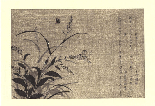 Japanese Ukiyo-e Woodblock print, Utamaro, "Tree Cricket (Matsumushi) and Firefly (Hotaru)"