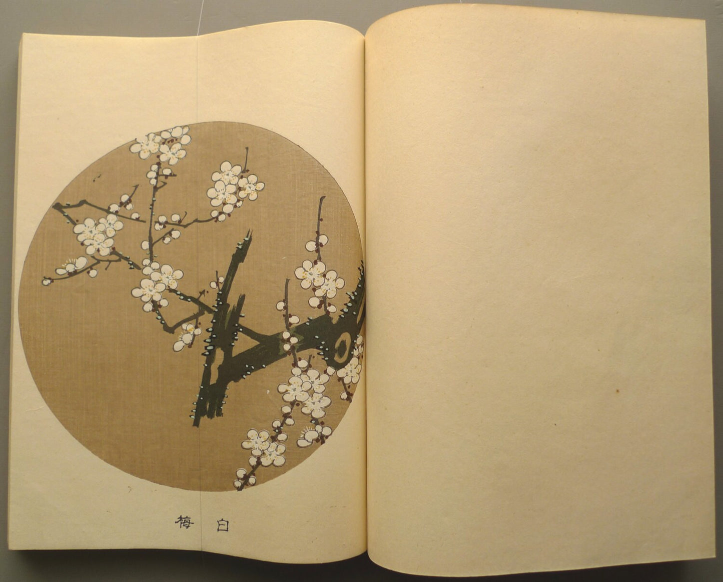 1908, Japanese antique woodblock print book, Ito Jakuchu, "Jakuchu gafu", complete set.