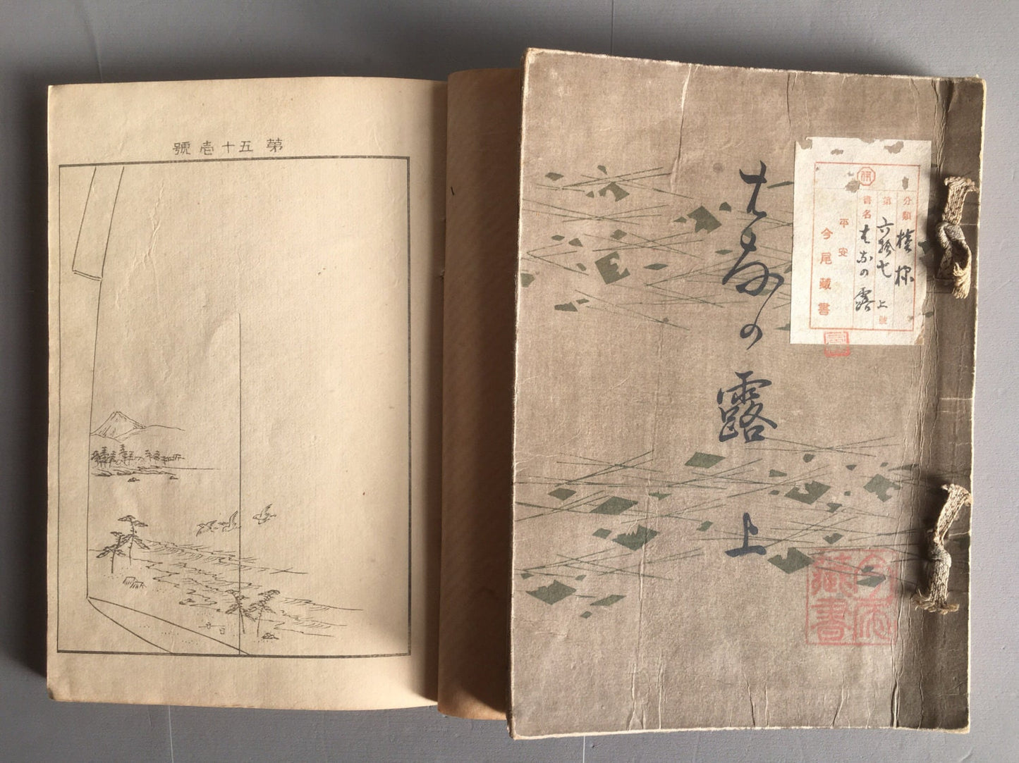 1902, Japanese vintage original woodblock print , Kimono design book, Kadokawa Keishu, "Hana no Tsuyu".