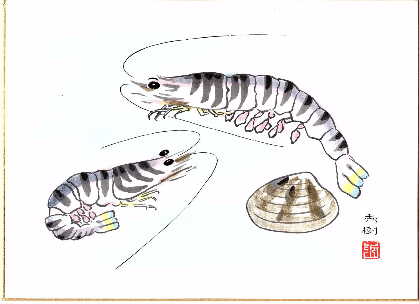 Japanese handwitten drawing, Miyamae Hideki, ”Japanese tiger prawn" 12