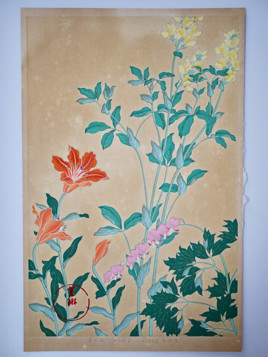 1931, Japanese antique woodblock print, Ogata Korin, "Album of Hundred Flowers by Artists of Rinpa School,  star lily, lyreflower"