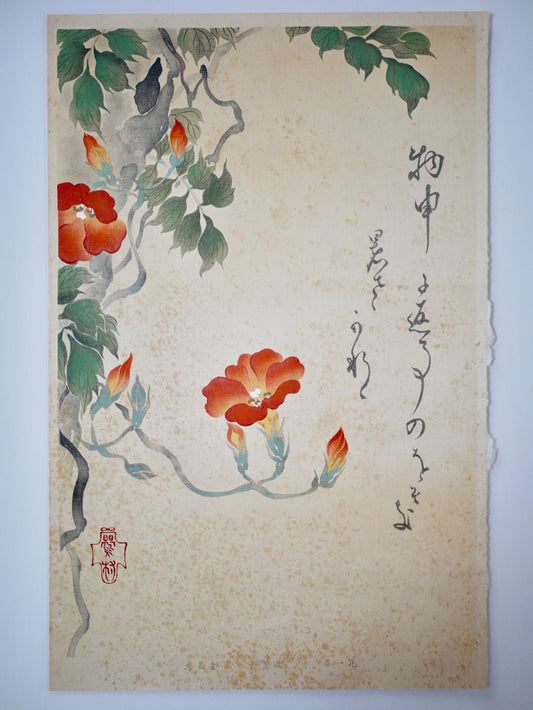 1931, Japanese antique woodblock print, Sakai Hoitsu, "Album of Hundred Flowers by Artists of Rinpa School,  Campsis grandiflora"