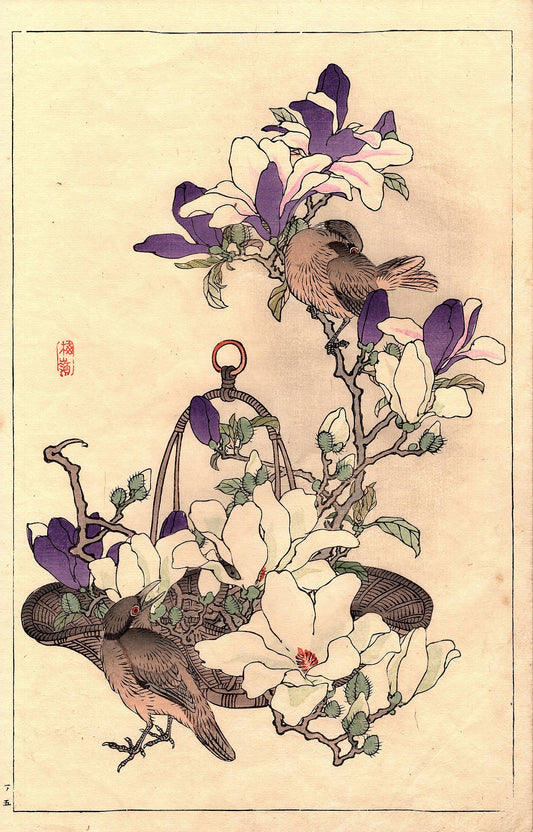 Japanese Antique Original Woodcut Print, Kono Bairei, "Bairei’s Book of Birds and Flowers". 7