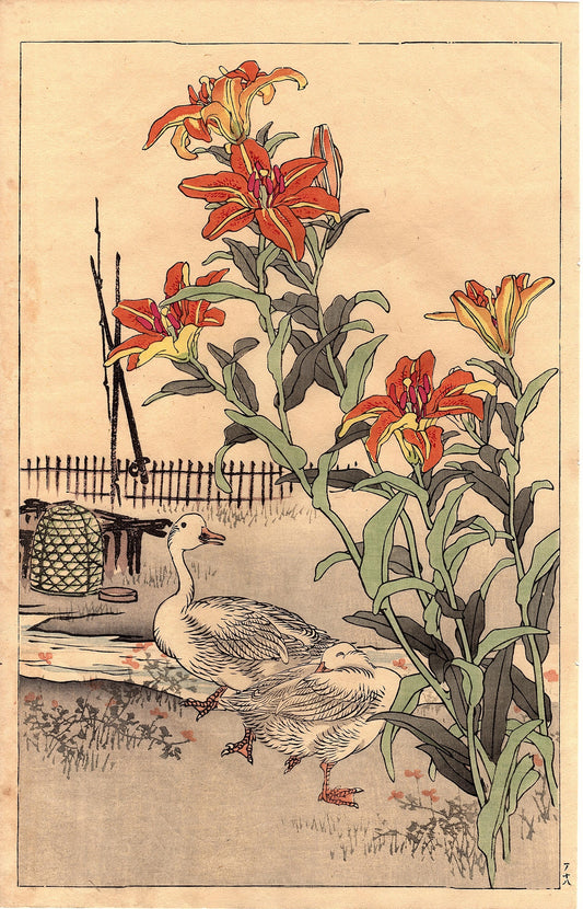 Japanese Antique Original Woodcut Print, Kono Bairei, "Bairei’s Book of Birds and Flowers". 3