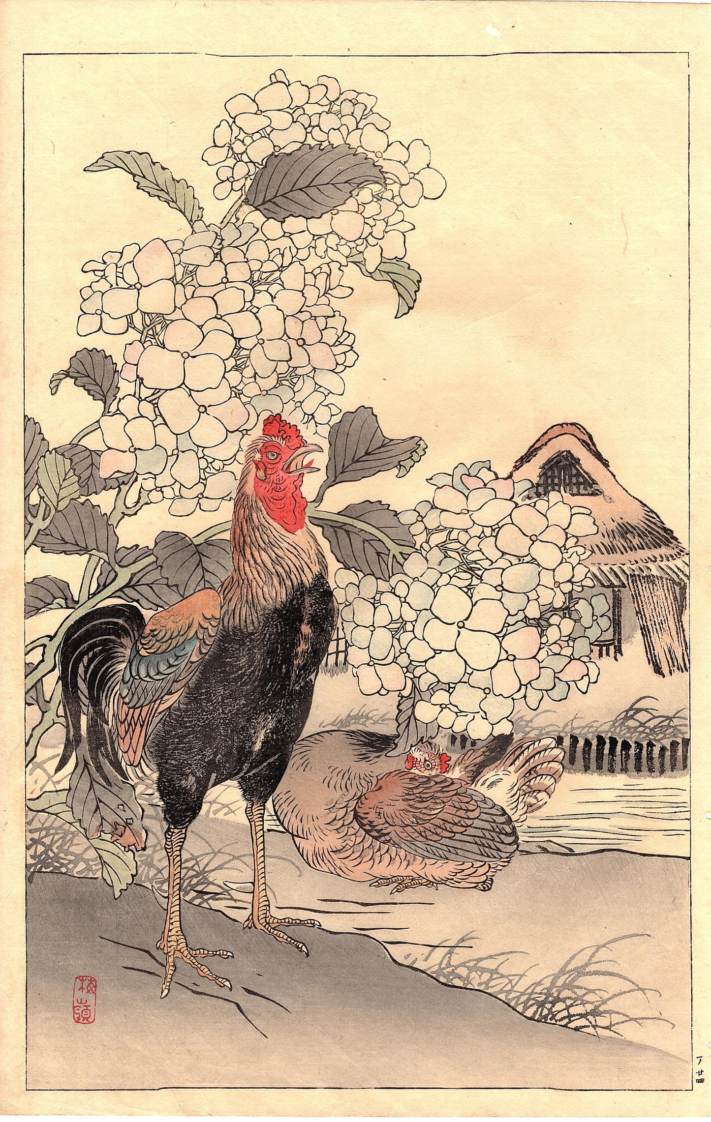 Japanese Antique Original Woodcut Print, Kono Bairei, "Bairei’s Book of Birds and Flowers". 1