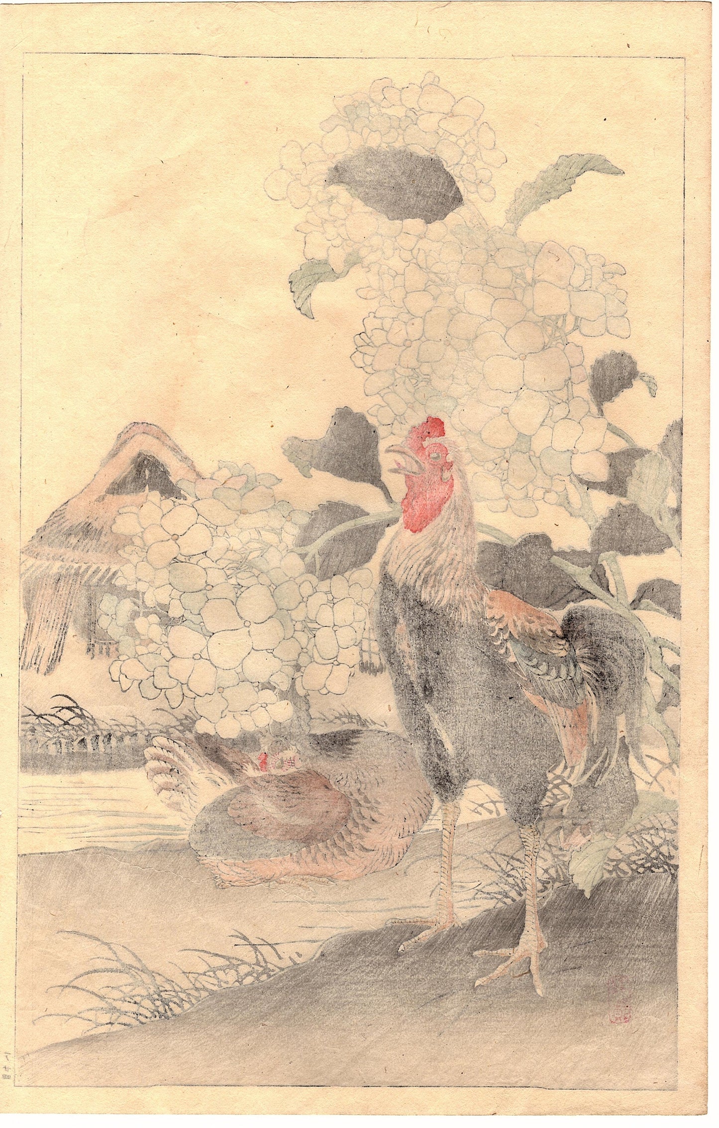 Japanese Antique Original Woodcut Print, Kono Bairei, "Bairei’s Book of Birds and Flowers". 1