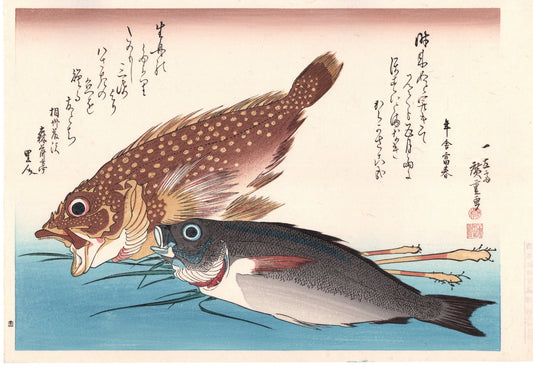 Hiroshige, "Scorpionfish, Isaki & Ginger".