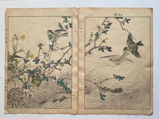 1891, Imao Keinen, " Japanese quince (Bokenohana), Japanese Buttercup (Umanoashigata), Siskin (Mahiwa) "