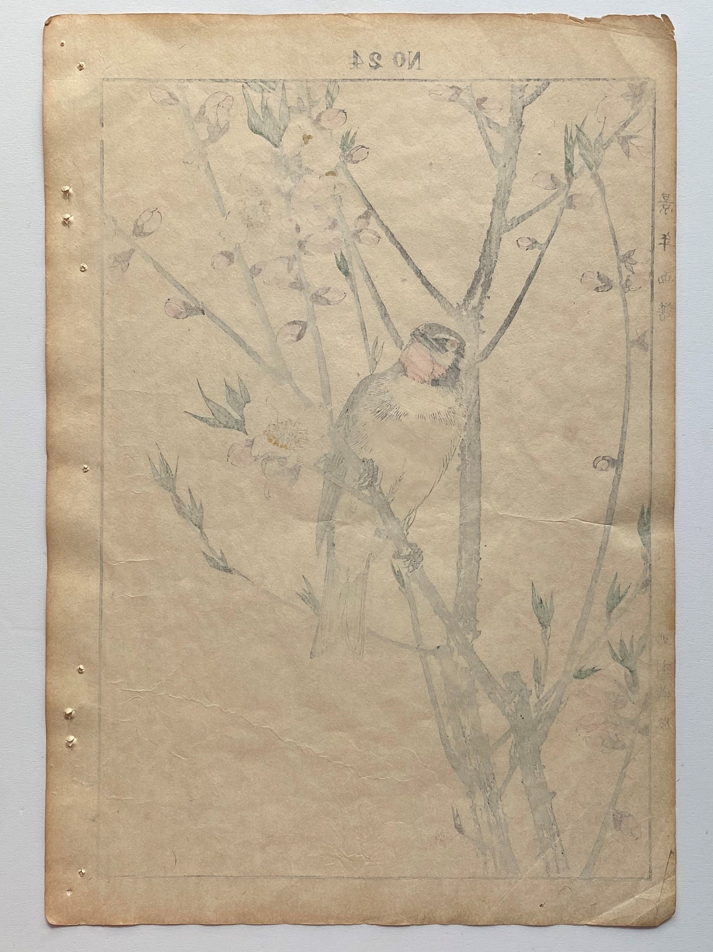 1891, Imao Keinen, " Peach blossom (Momonohana), Siberian Rubythroat (Nogoma) "