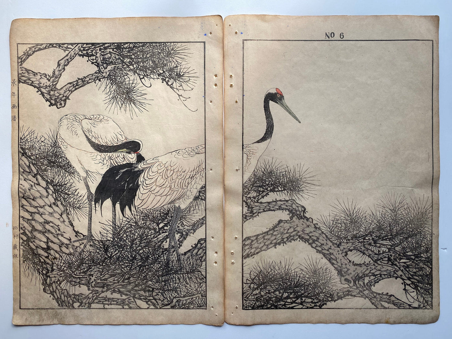 1891, Imao Keinen, " Old pine tree (Oimatsu), Red-crowned crane (Tanchoduru) "