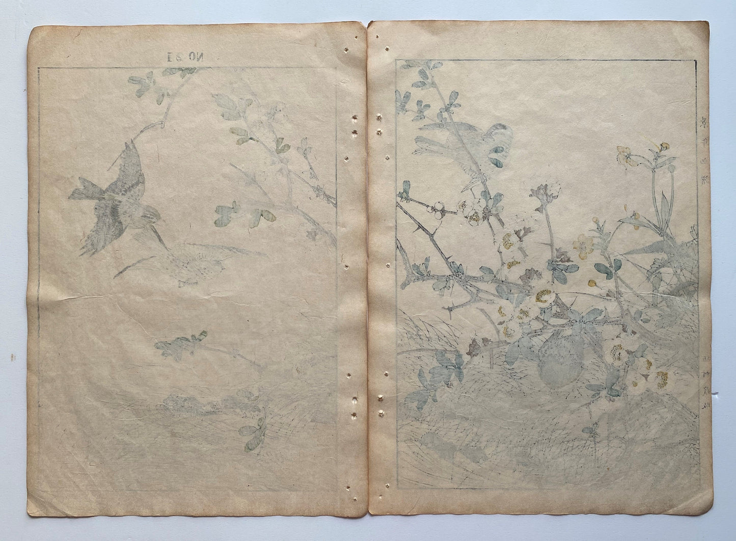 1891, Imao Keinen, " Japanese quince (Bokenohana), Japanese Buttercup (Umanoashigata), Siskin (Mahiwa) "