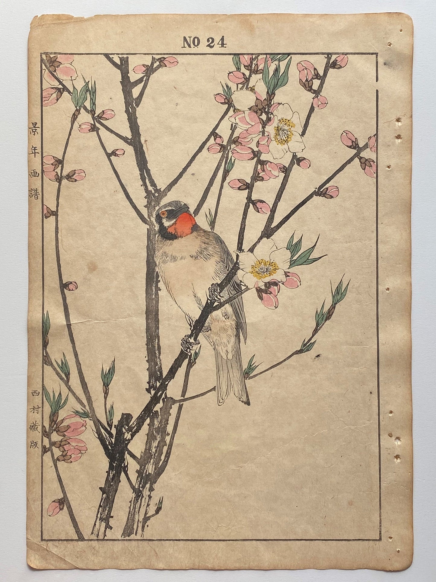 1891, Imao Keinen, " Peach blossom (Momonohana), Siberian Rubythroat (Nogoma) "