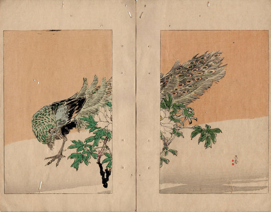 1891, Japanese antique woodblock print, Bijutsu Sekai Vol. 5-3