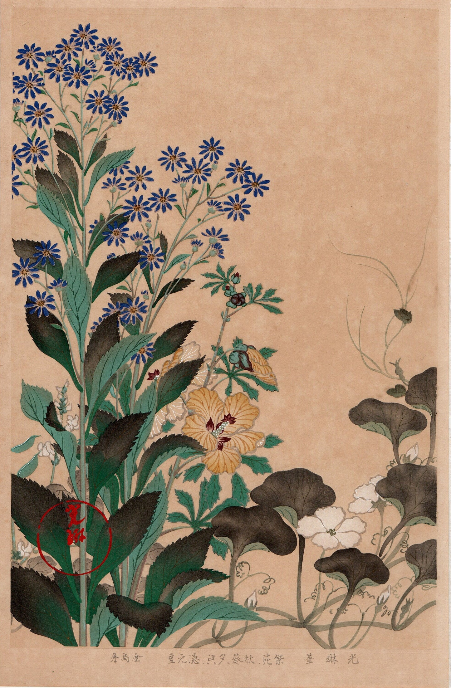 1930, Ogata Korin, "Album of Hundred Flowers by Artists of Rinpa School, Sion, Okra, Bottle gourd, Green beans”