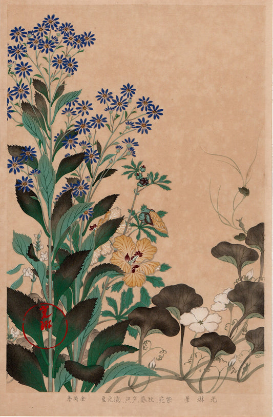 1930, Ogata Korin, "Album of Hundred Flowers by Artists of Rinpa School, Sion, Okra, Bottle gourd, Green beans”