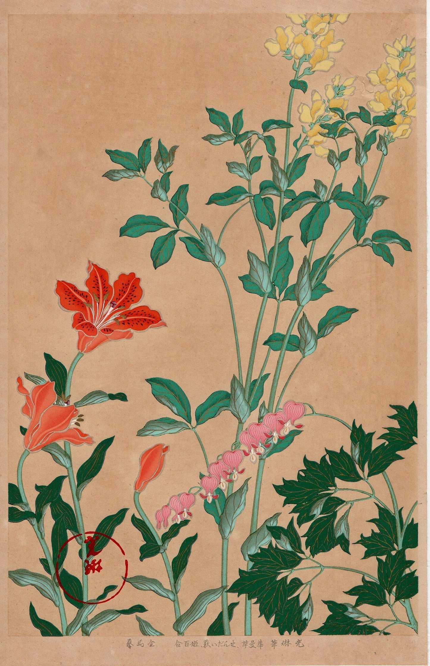 1930, Ogata Korin, "Album of Hundred Flowers by Artists of Rinpa School, Bleeding Heart, Siberian lupin, Morning star lily”