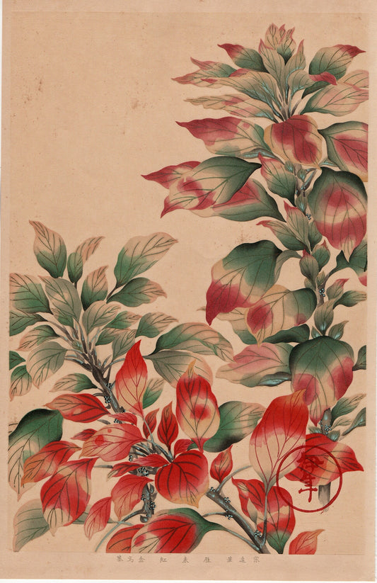 1931, Tawaraya Sotatsu, "Album of Hundred Flowers by Artists of Rinpa School, Amaranthus tricolor”