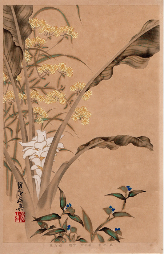 1931, Watanabe Siko/Motooki, "Album of Hundred Flowers by Artists of Rinpa School, Turmeric”