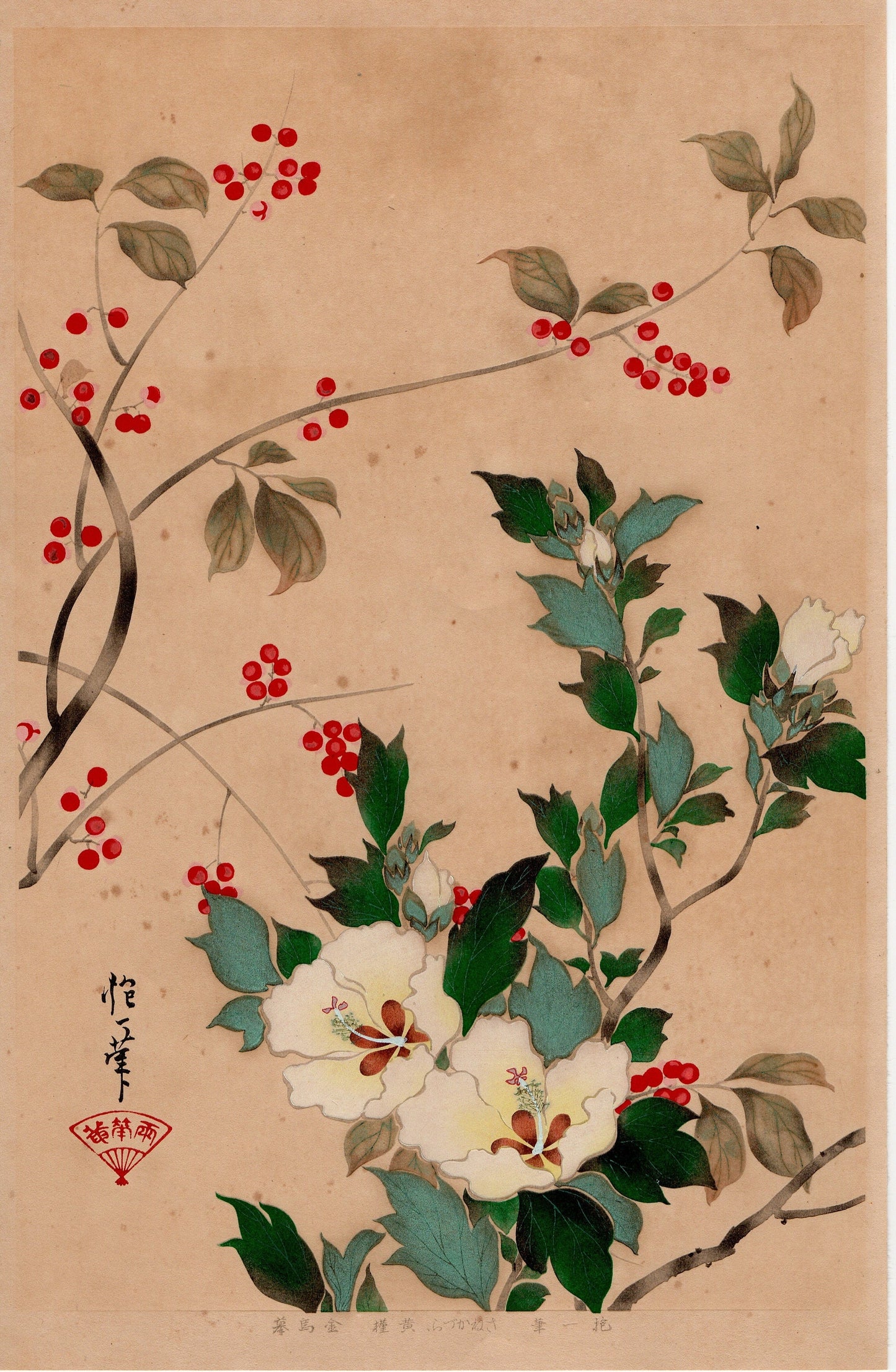 1931, Sakai Hoitsu, "Album of Hundred Flowers by Artists of Rinpa School, Kadsura japonica, Hibiscus hamabo”