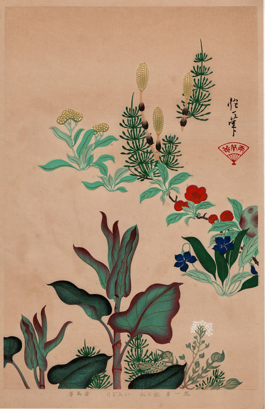 1930, Sakai Hoitsu, "Album of Hundred Flowers by Artists of Rinpa School, Choenomeles lagenaria, Japanese knotweed”