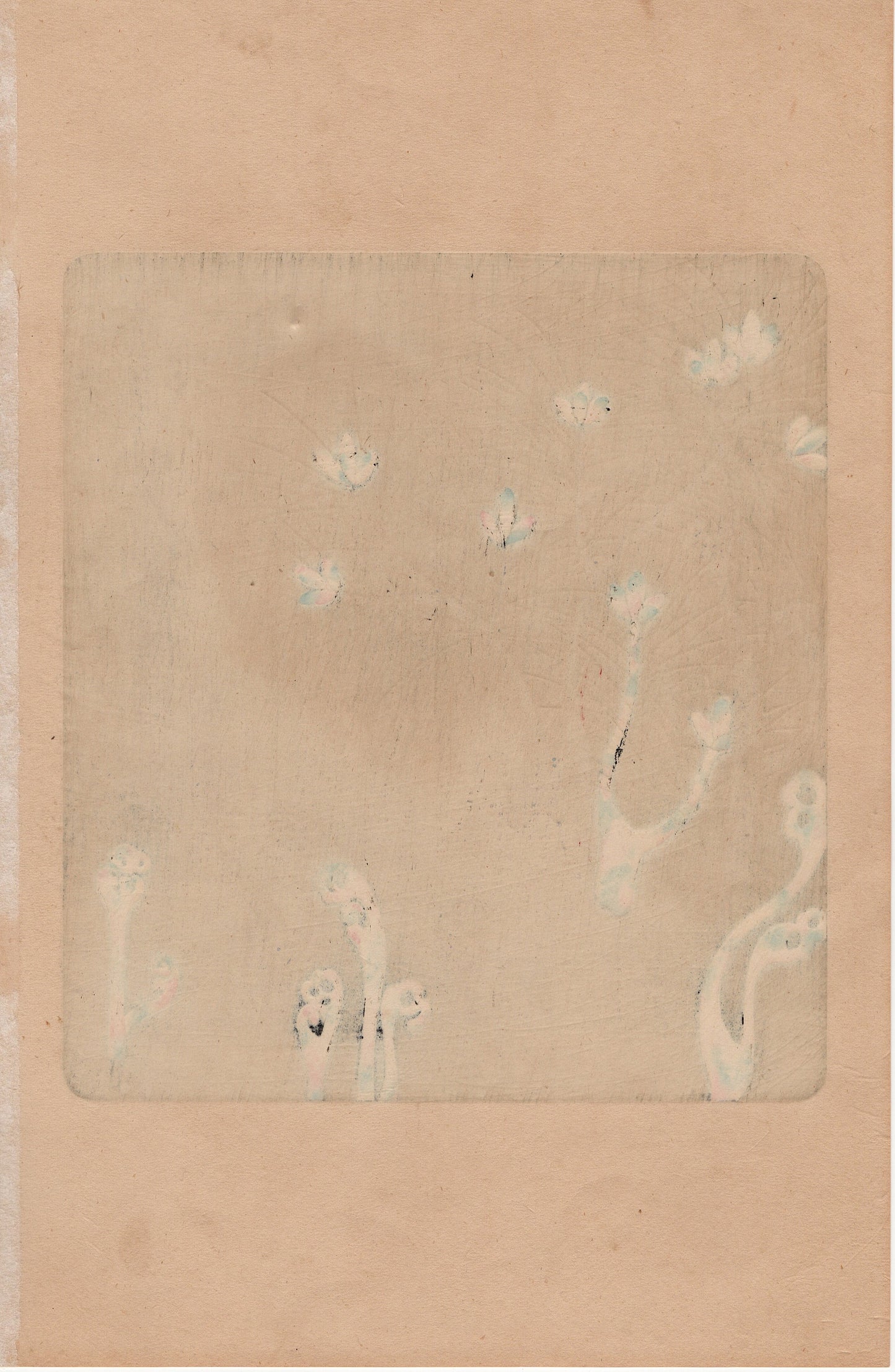 1930, Ogata Korin, "Album of Hundred Flowers by Artists of Rinpa School, Pine root, Sawarabi”