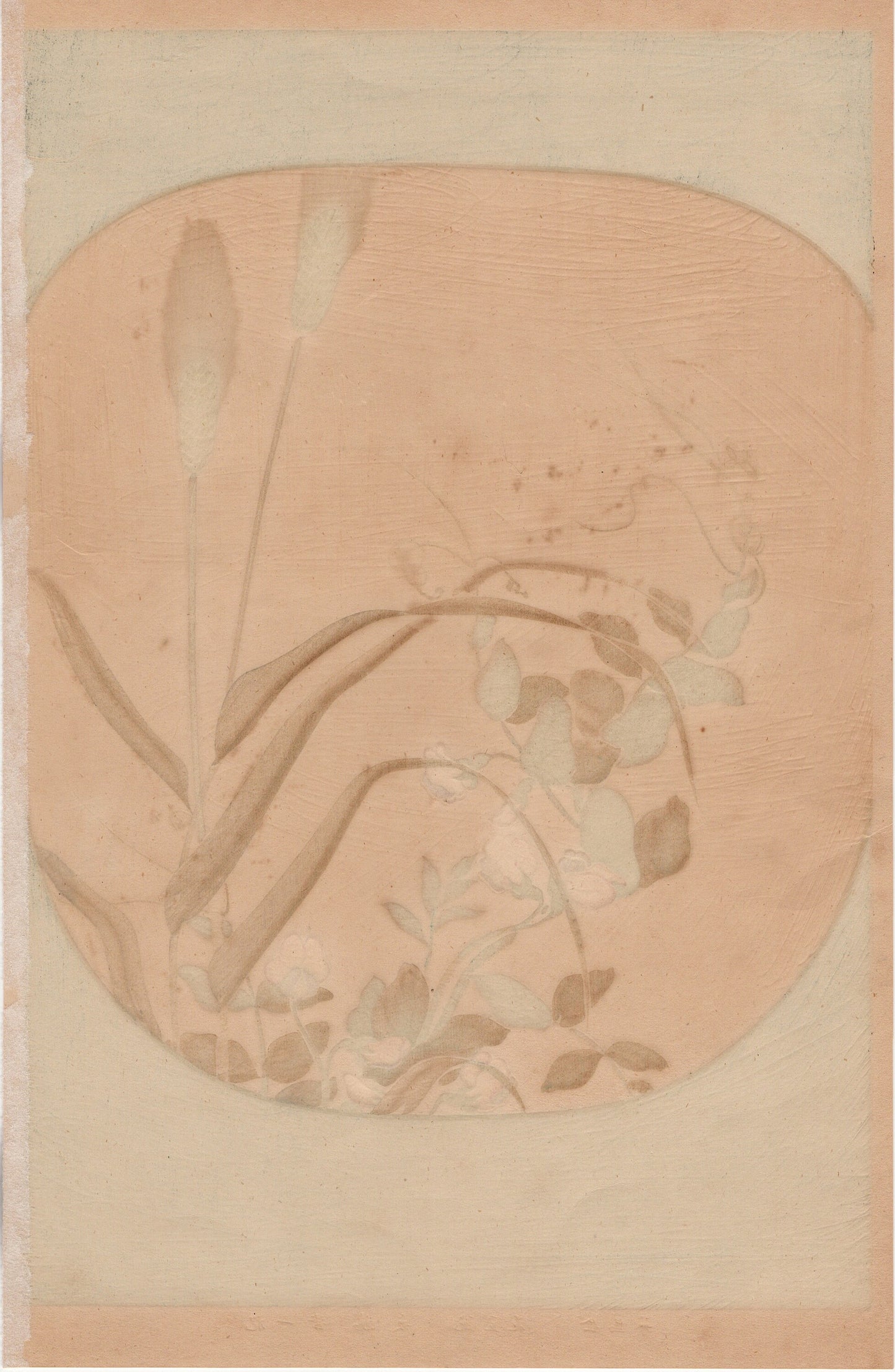 1930, Sakai Hoitsu, "Album of Hundred Flowers by Artists of Rinpa School, Ear barley, Pea flower”