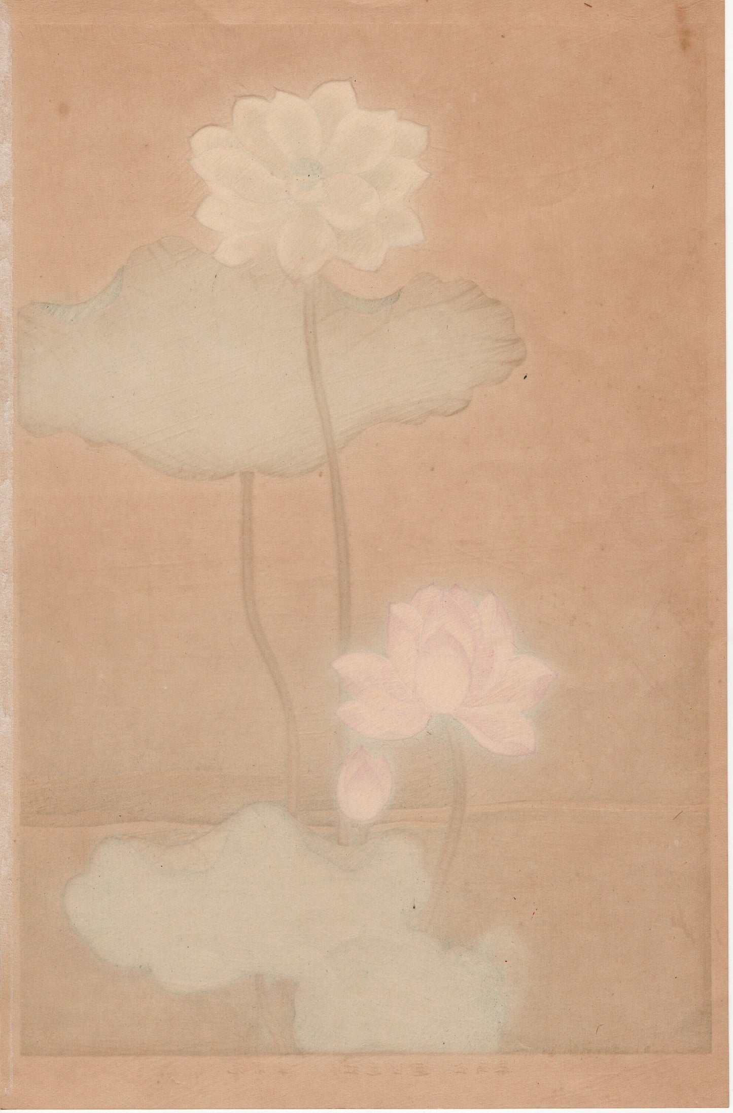 1930, Hon-ami Koho, "Album of Hundred Flowers by Artists of Rinpa School, Red Lotus, White lotus”