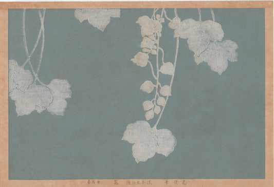 1930, Hon-ami Koetsu, "Album of Hundred Flowers by Artists of Rinpa School, Ivy”