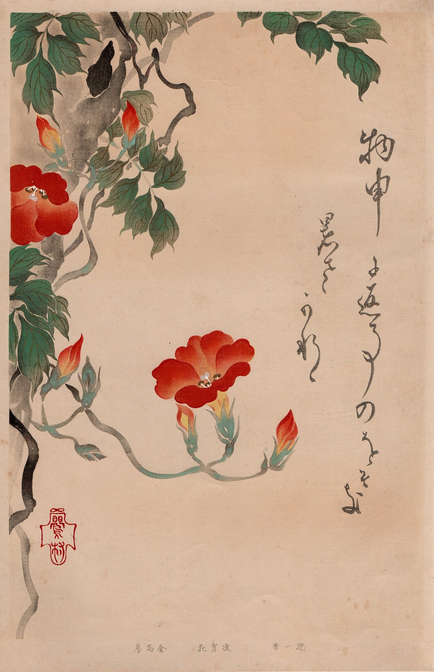 1930, Sakai Hoitsu, "Album of Hundred Flowers by Artists of Rinpa School, Chinese trumpet vine”