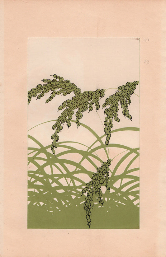 1932,  Kawarazaki Kodo, pine, Rice