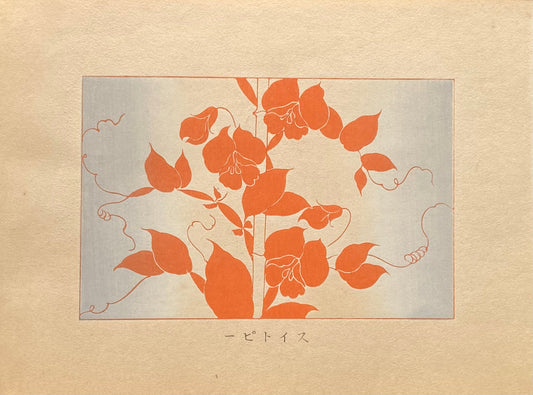 1933, Kawarazaki Kodo, Antique Woodcut Design Print, Sweet pea.