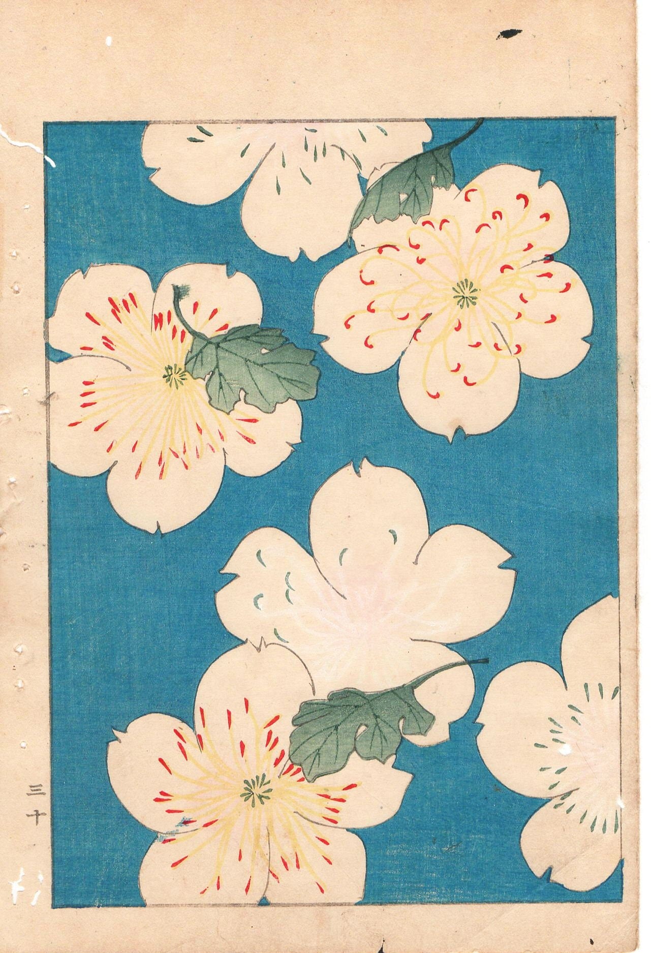 Around 1900, Bijutsukai 1, Antique Japanese print, Kimono Design.