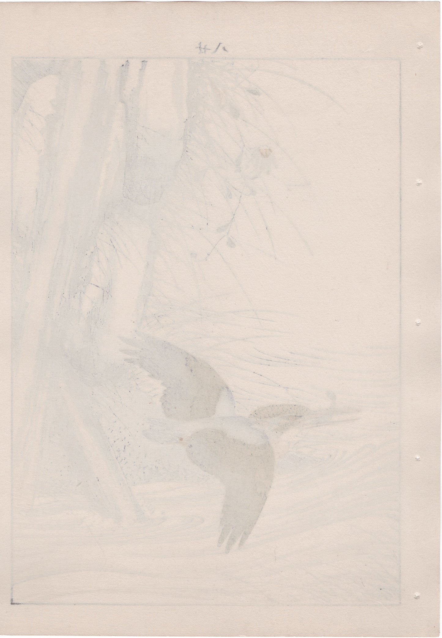 1892, Imao Keinen, "Aster yomena, Common Kingfisher"