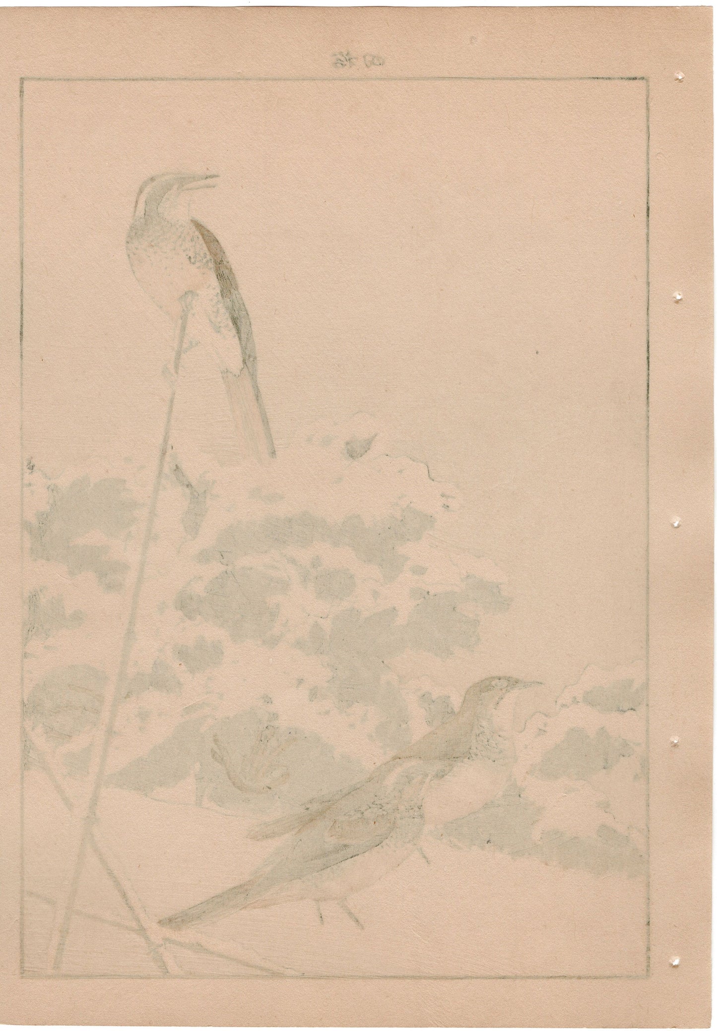 1892, Imao Keinen, "Japanese radish, Dusky thrush"