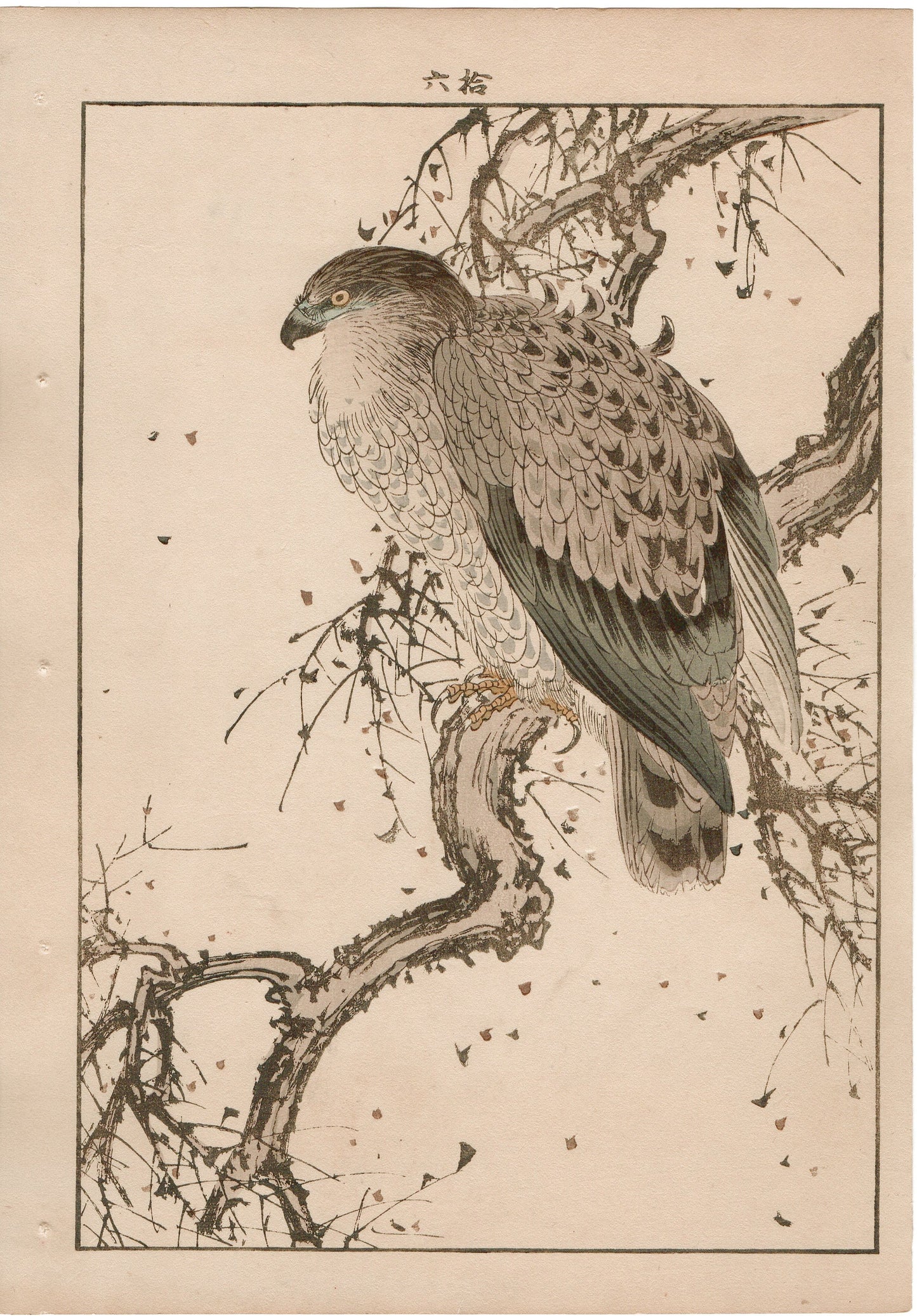 1892, Imao Keinen, "Dead tree, Black Kite"