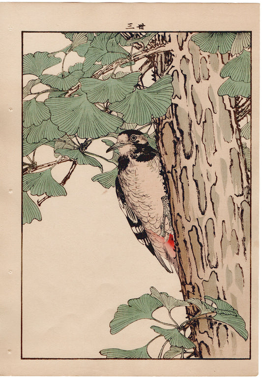 1892, Imao Keinen, "Ginkgo, Woodpecker"