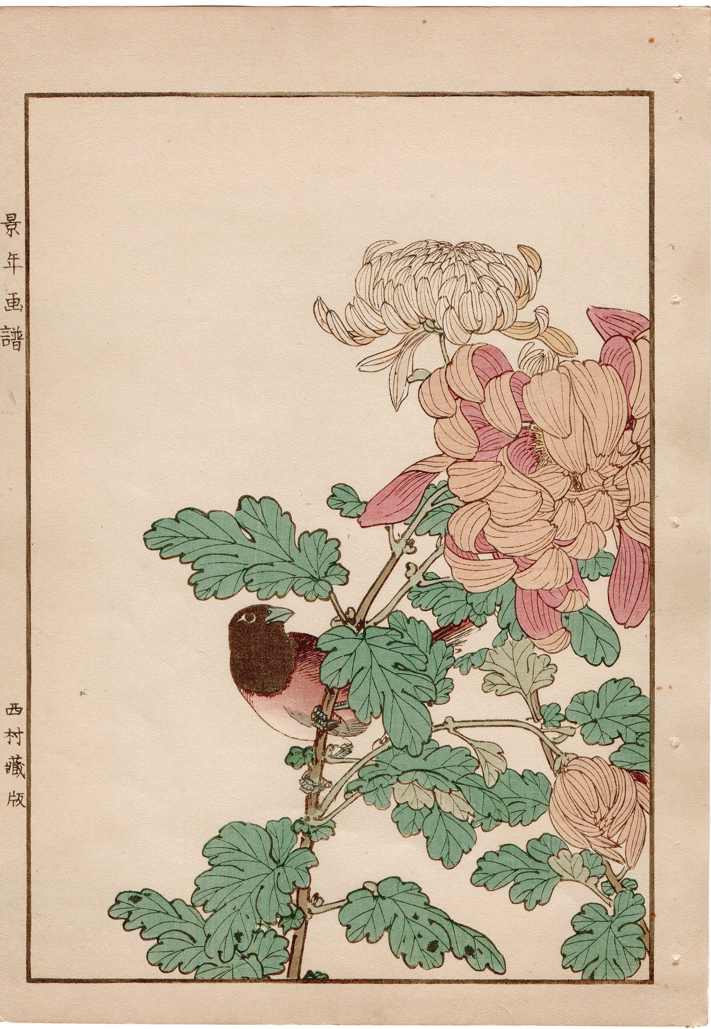 1892, Imao Keinen, "Chrysanthemum, Jinkōchō"