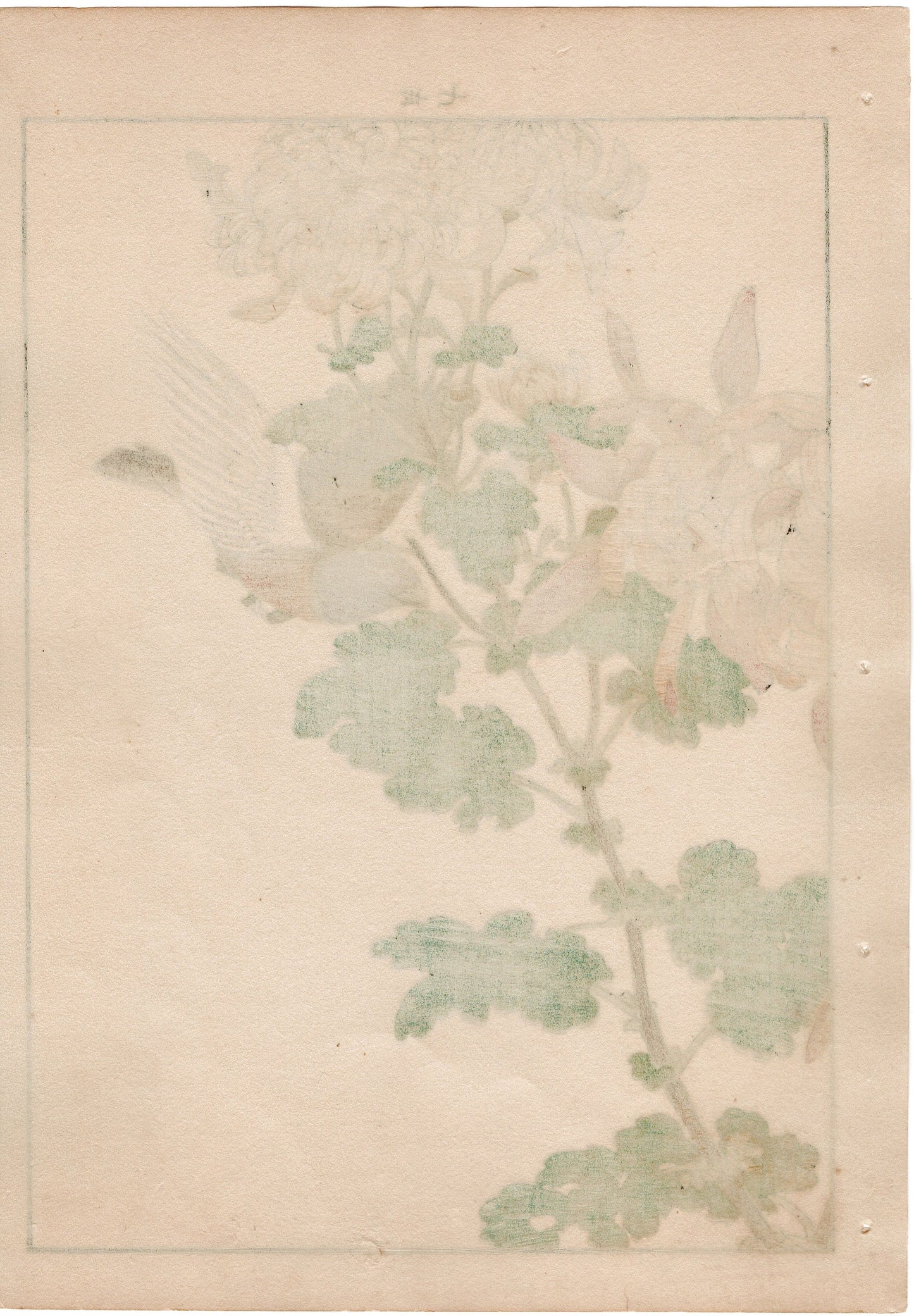 1892, Imao Keinen, "Chrysanthemum, Jinkōchō"