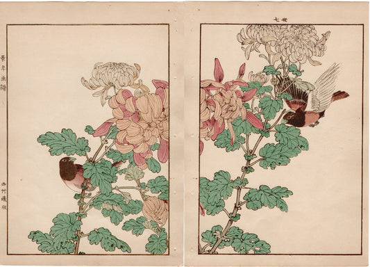 1892, Imao Keinen, "Chrysanthemum, Jinkōchō"