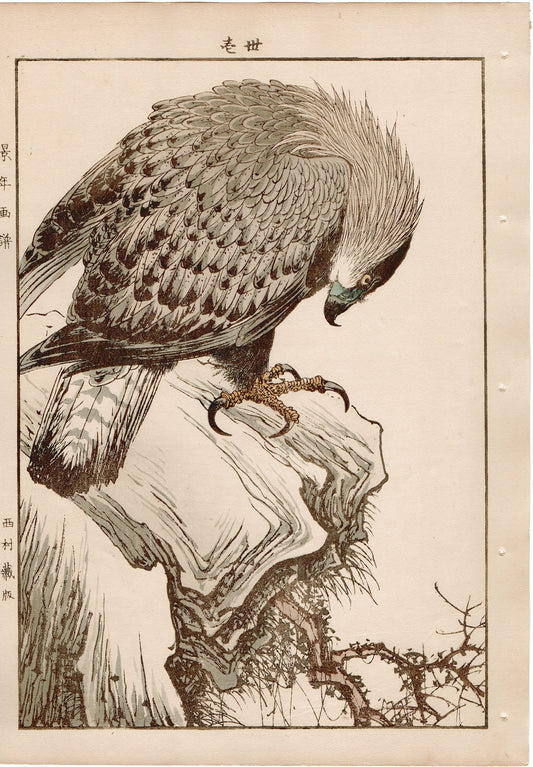 1892, Imao Keinen, "Dead tree, Steep, Golden eagle"