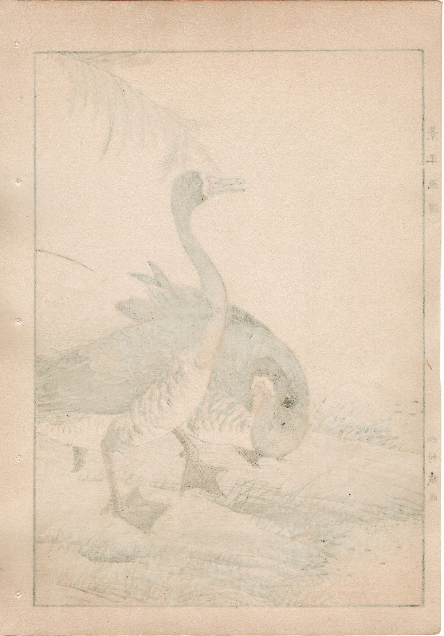 1892, Imao Keinen, "Common reed, Goose"