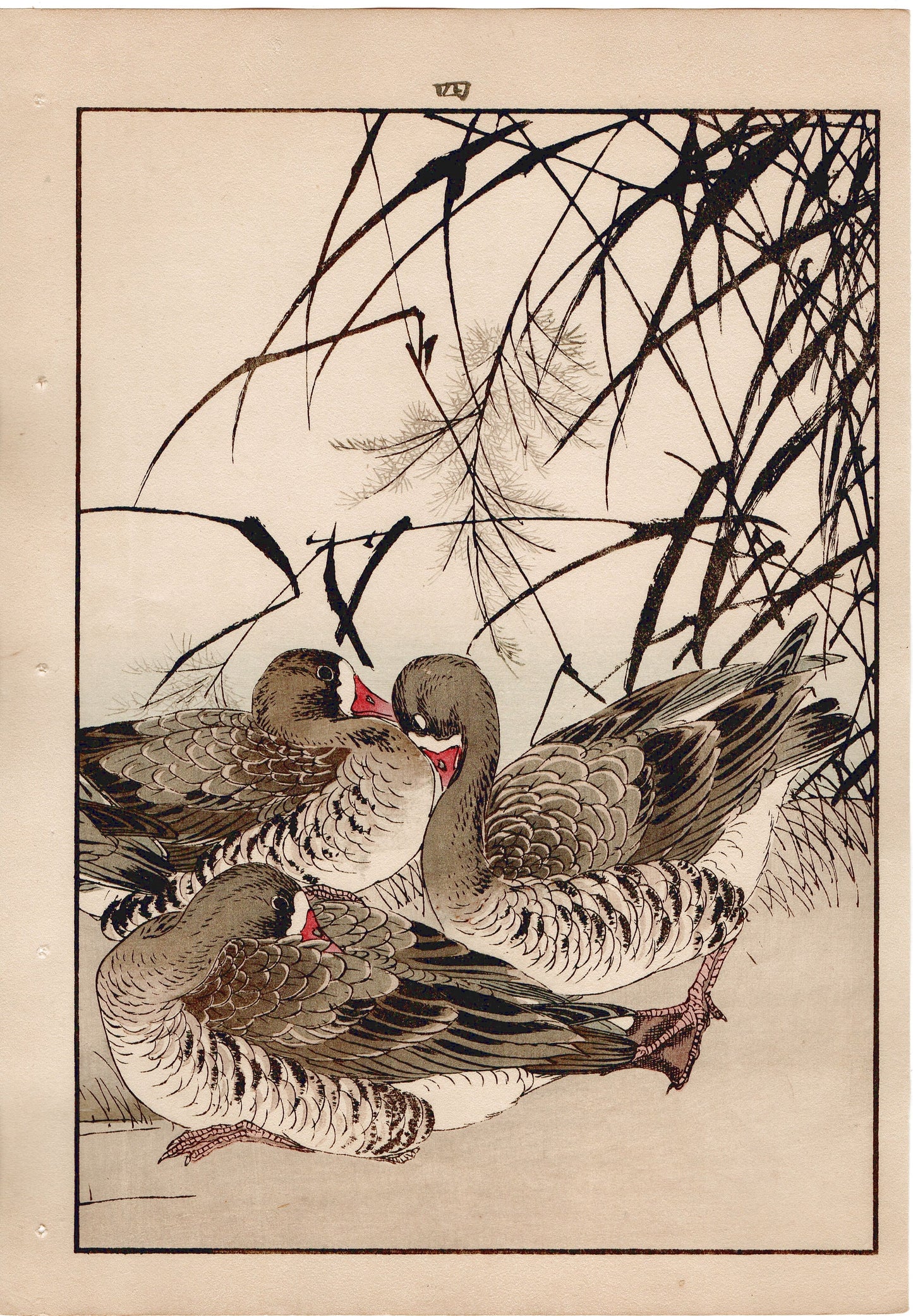 1892, Imao Keinen, "Common reed, Goose"