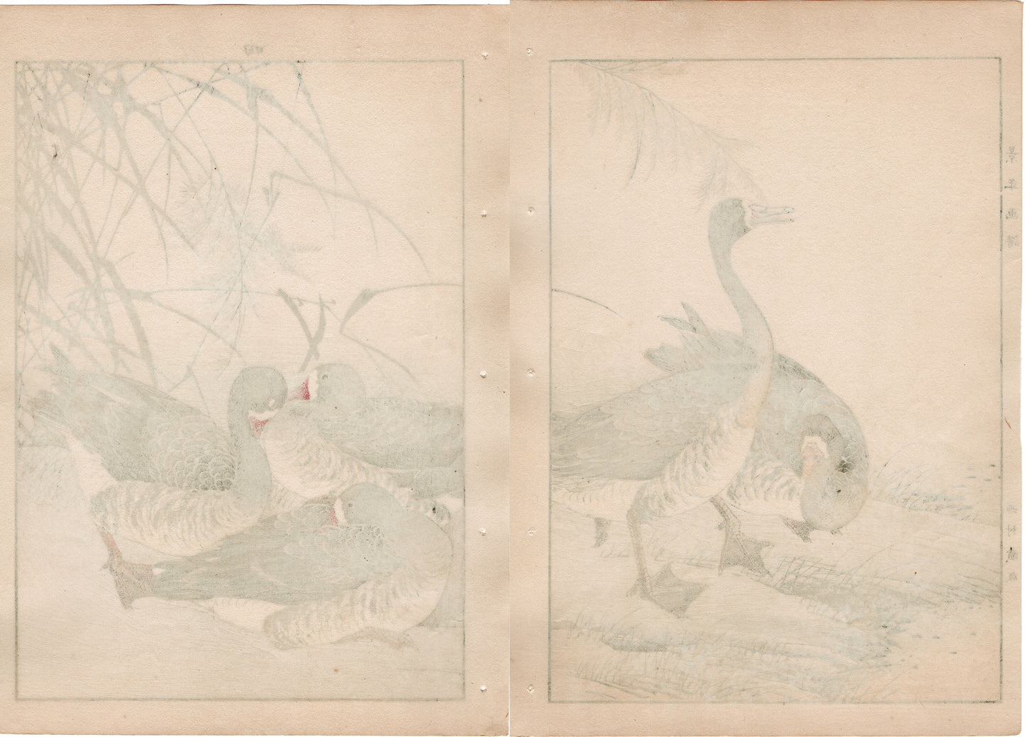 1892, Imao Keinen, "Common reed, Goose"