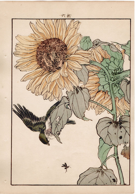 1892, Imao Keinen, "Sunflower, Japanese yellow bunting"