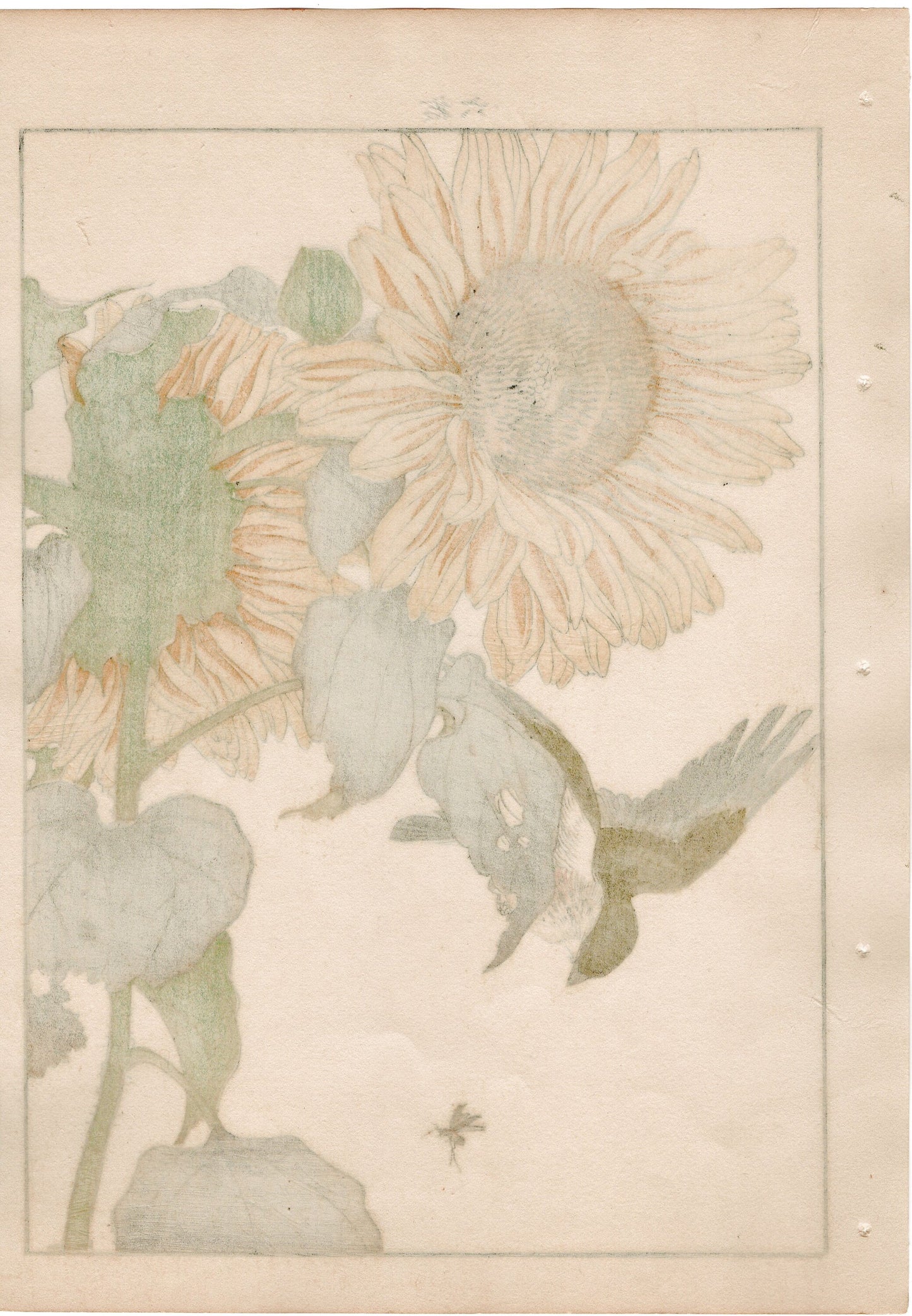 1892, Imao Keinen, "Sunflower, Japanese yellow bunting"