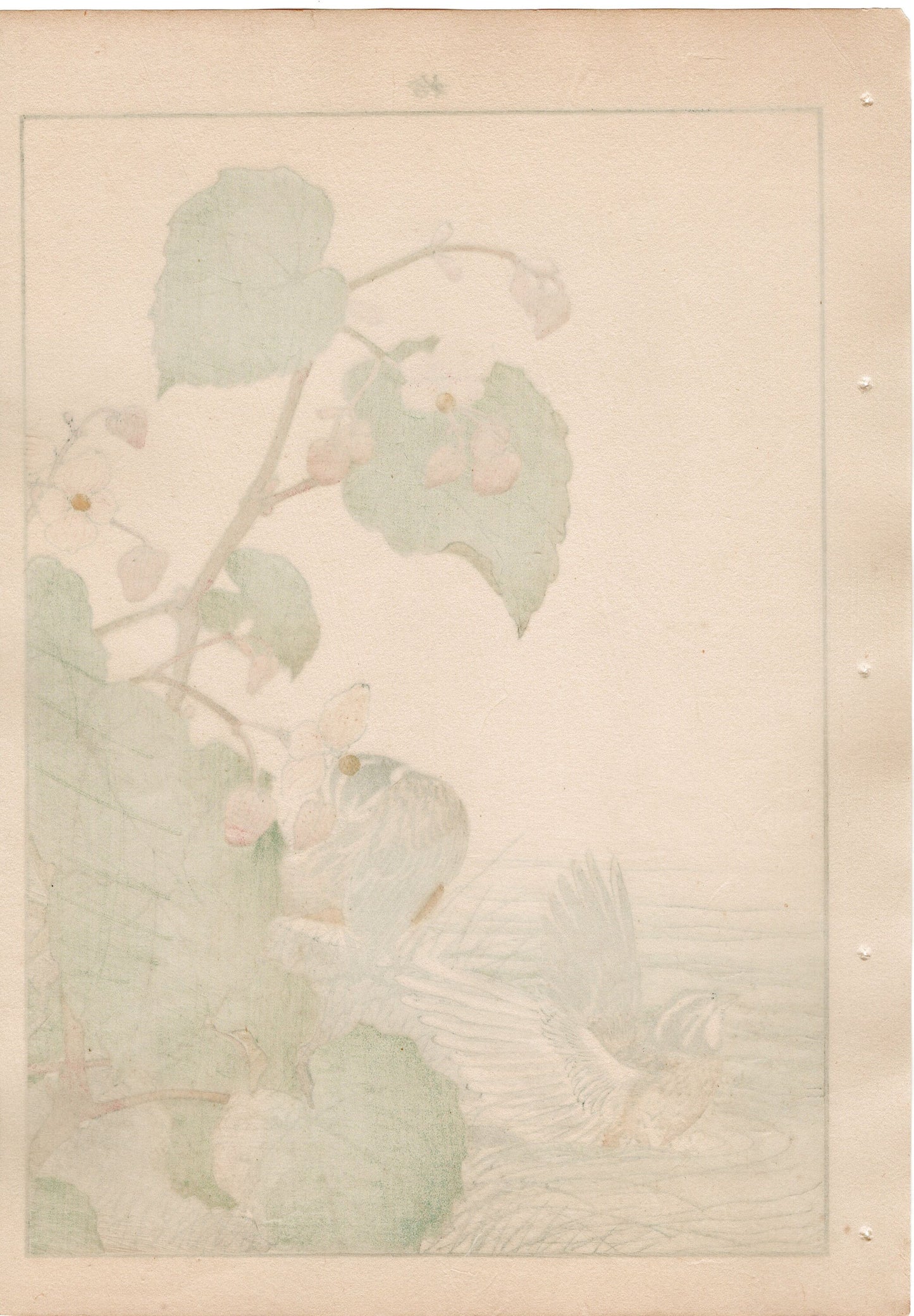 1892, Imao Keinen, "Hardy begonia, Japanese reed bunting"