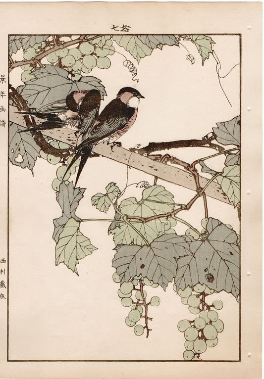 1892, Imao Keinen, "Grape, Swallow"