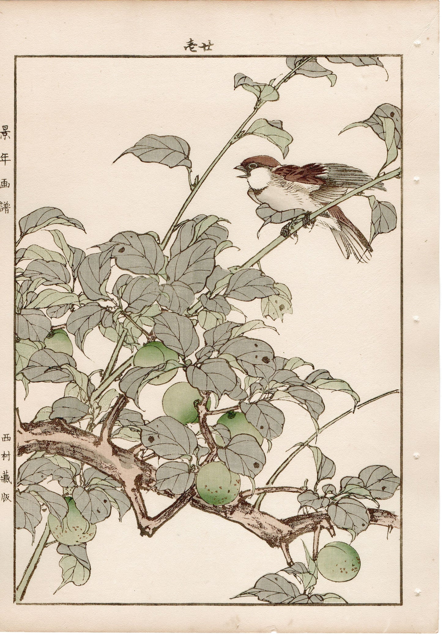 1892, Imao Keinen, "Green ume, Cinnamon sparrow"