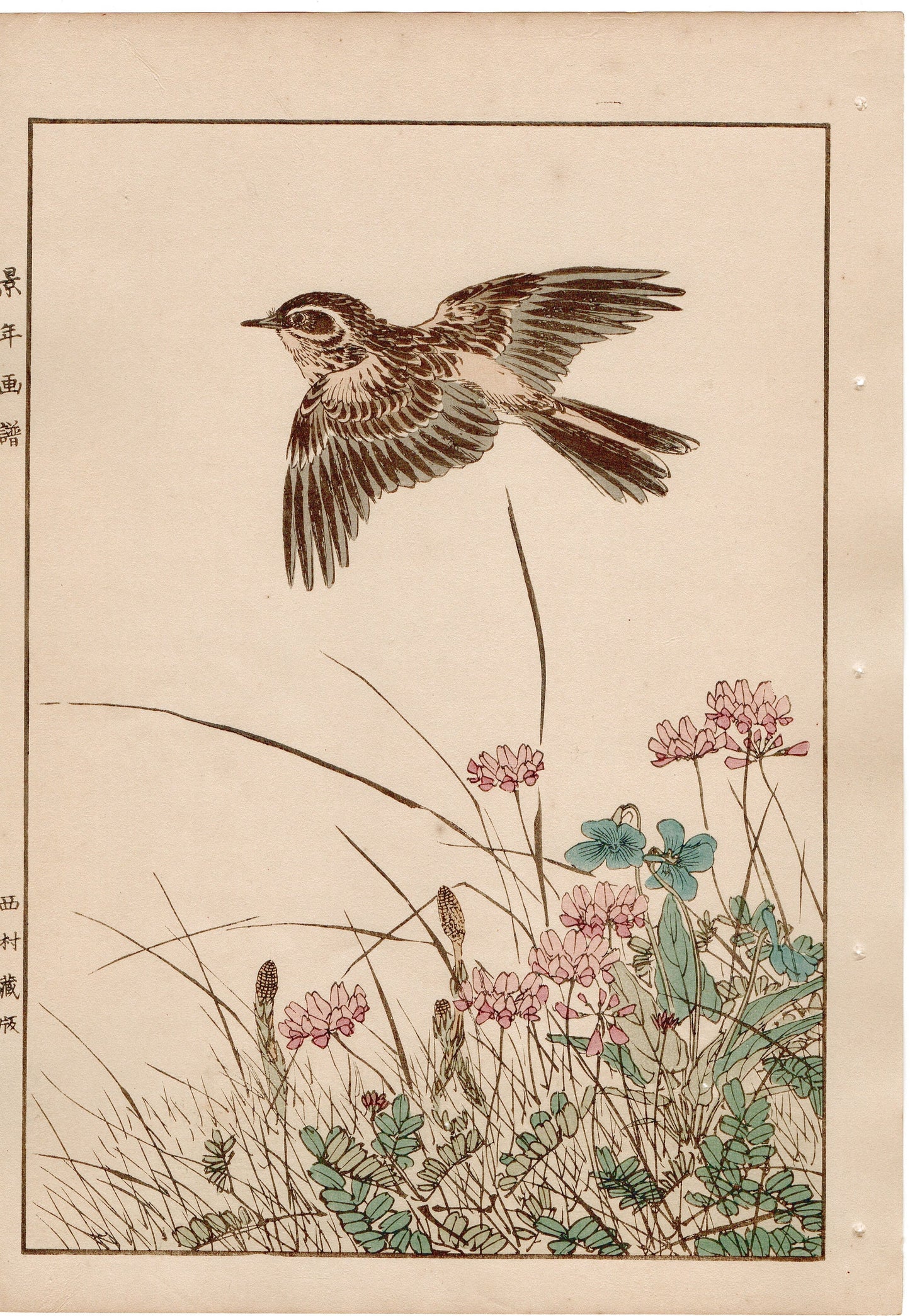 1892, Imao Keinen, " Chinese milk vetch, Violet, Dandelion, Horsetail, Lark ,Olive-backed Pipit "